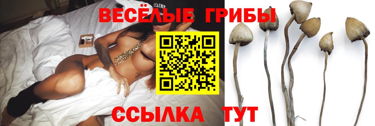 Псилоцибиновые грибы MAGIC MUSHROOMS  Вход с VPN  купить наркоту  Арзамас 